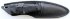 pirat-2255771-sm.jpg